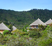 Baliem Valley Resort