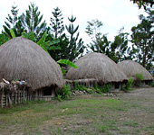 Baliem Valley Resort