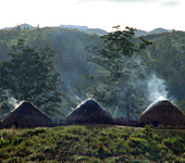 Baliem Valley Resort