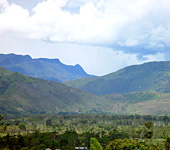 Baliem Valley Resort