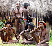 Baliem Valley Resort