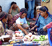 Baliem Valley Resort