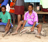 Baliem Valley Resort