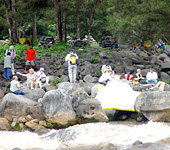 Baliem Valley Resort