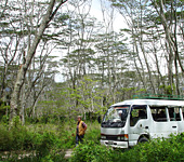Baliem Valley Resort